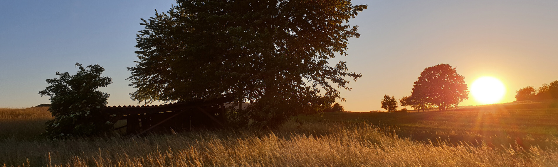 Natur pur im Modautal